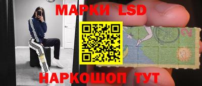 прущие крисы Моздок
