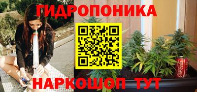 прущие крисы Моздок
