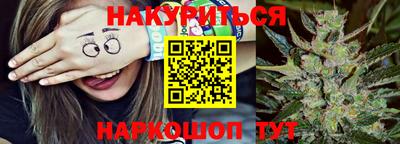 прущие крисы Моздок