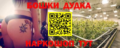 прущие крисы Моздок