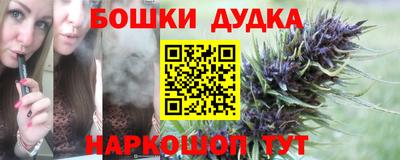 прущие крисы Моздок