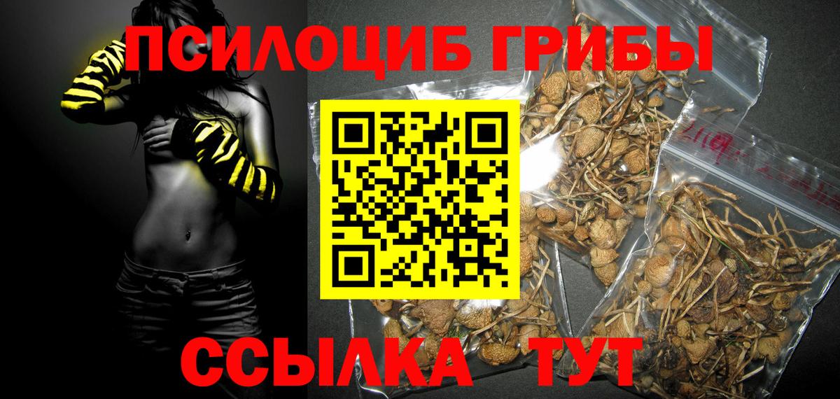 Псилоцибиновые грибы MAGIC MUSHROOMS Вольск