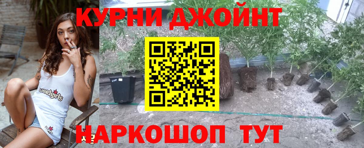 МАРИХУАНА Amnesia  Шишки марихуана MAZAR  Вольск  Вход с VPN  Бошки марихуана конопля  Шишки марихуана тримм 
